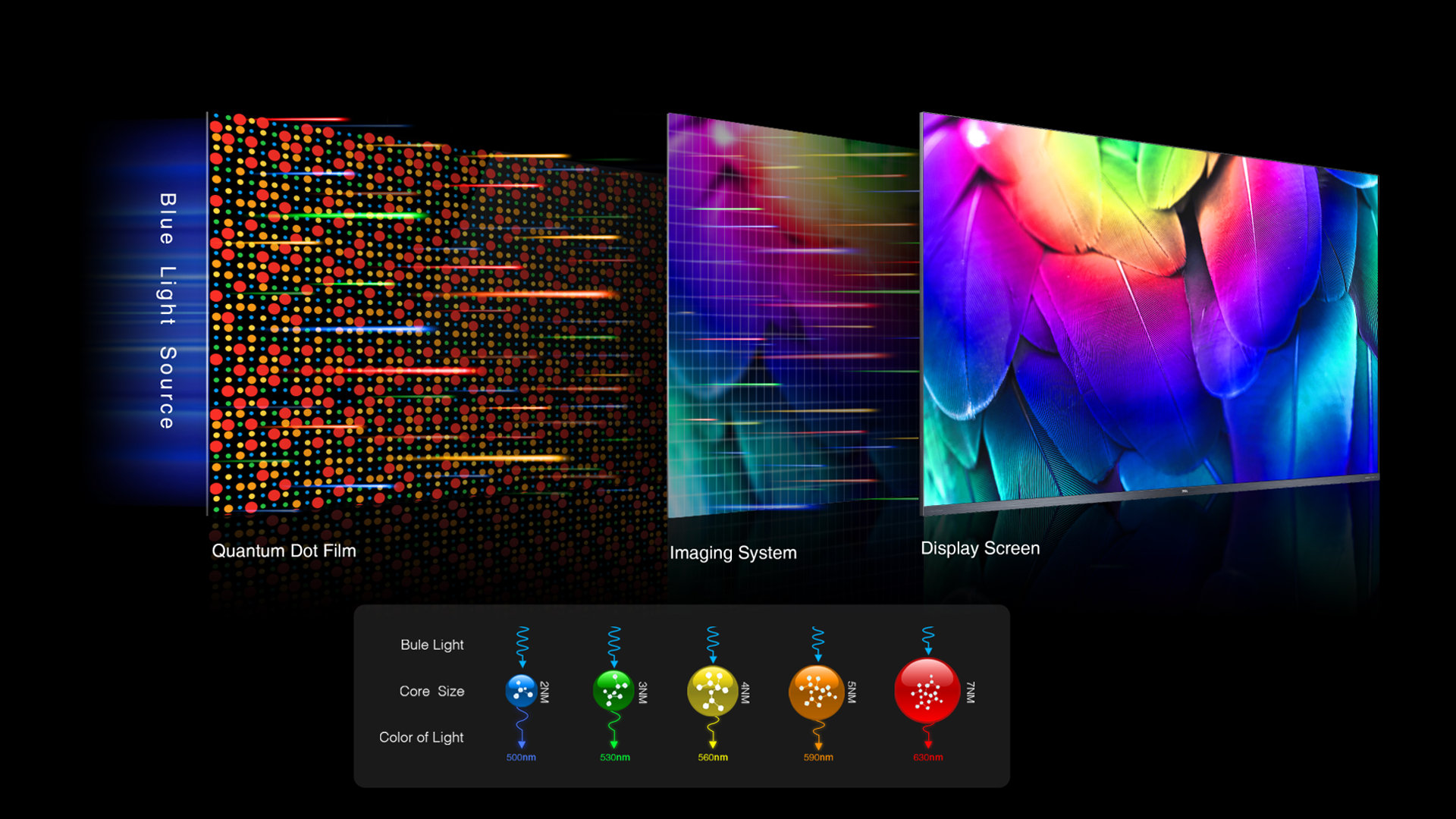 南宫ng·28 Quantum Dot technology